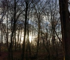 DSC_2776_DxO